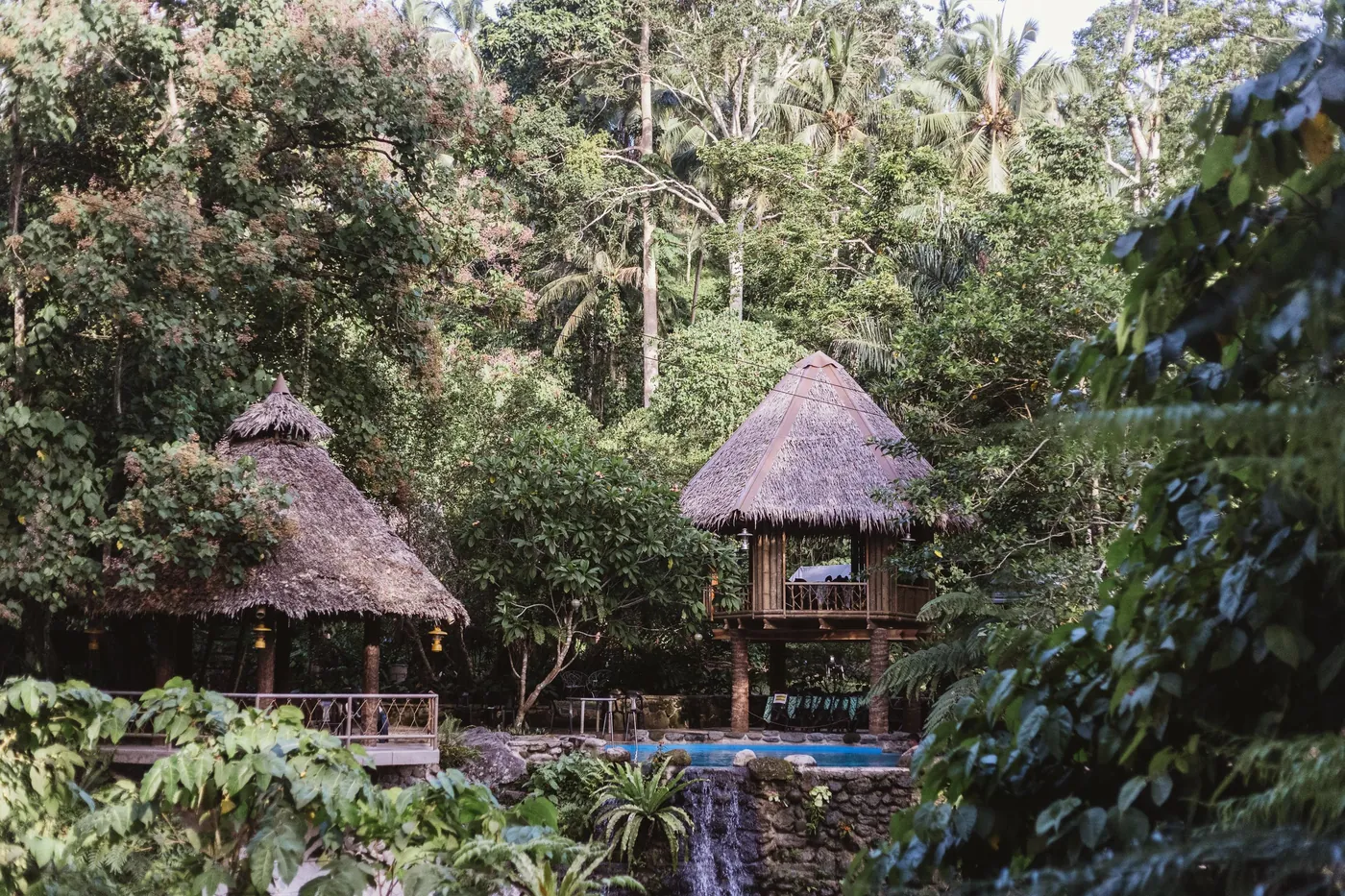 The Rainforest House — 1
