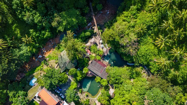 The Rainforest House — 3