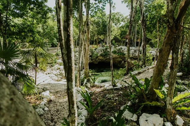 Selva — 4