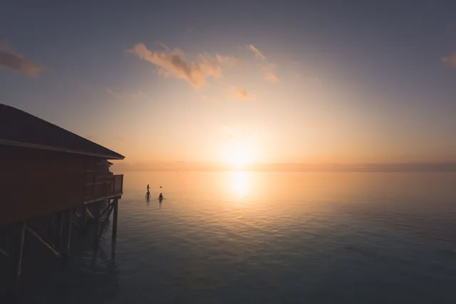 Sunset dolphin cruise